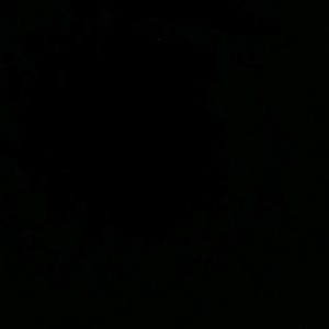 Meet your Posher, Mikayla